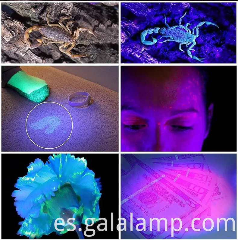 Linterna UV USB portátil para detectar dinero falsificado